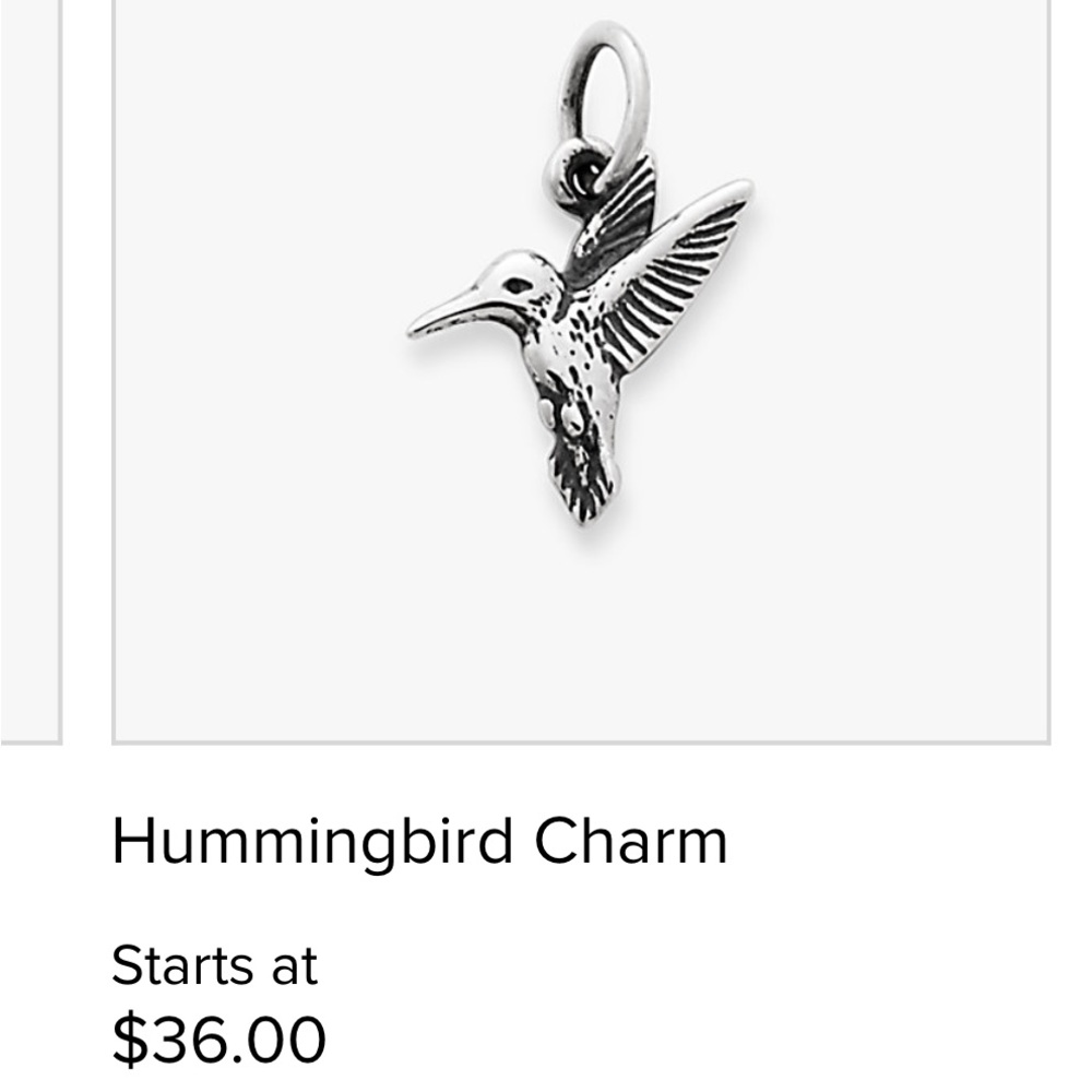 Hummingbird Charm